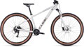 Dámsky horský bicykel Access WS EXC lightgrey´n´rose 2023