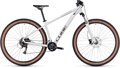 Dámsky horský bicykel Access WS EXC lightgrey´n´rose 2024