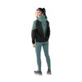 Dámska bunda Dynafit ALPINE GTX W atlantic 3091