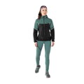 Dámska bunda Dynafit ALPINE GTX W atlantic 3091