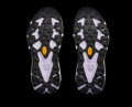 HOKA Speedgoat 7 W Berry Jam / Starlight Glow