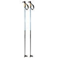 Palice Ski Trab Carbon Speed 41169