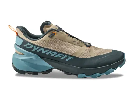 Dynafit Transalper 2 GTX Men blueberry/fallen rock