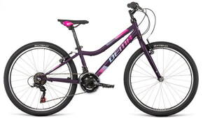Bicykel Dema ISEO 24 dark-violet